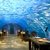 Подводный ресторан в отеле Conrad Maldives 5*